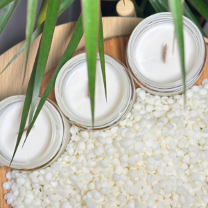 Top view of candles in jars, soy wax beads, and green plants creating a serene, natural ambiance.