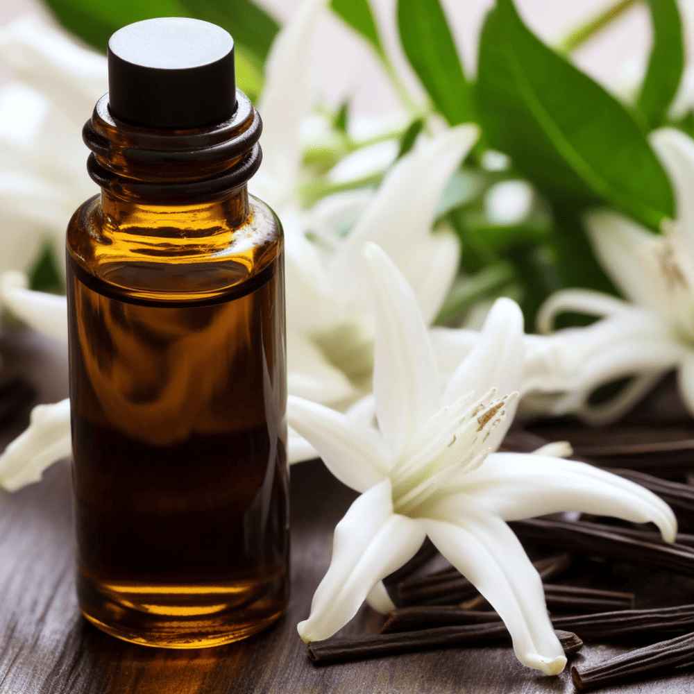 vanilla essential oil vanilla essential oil