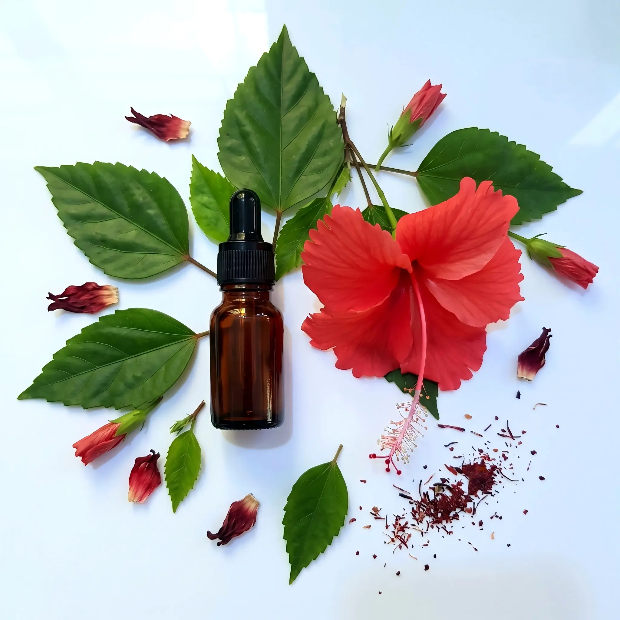 Hibiscus Fragrance