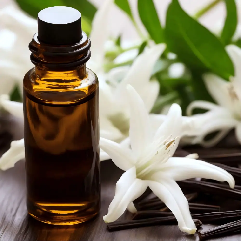 Vanilla Fragrance